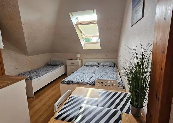 Zosia ゲストハウス ロビ